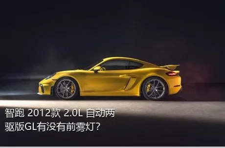 智跑 2012款 2.0L 自动两驱版GL有没有前雾灯？