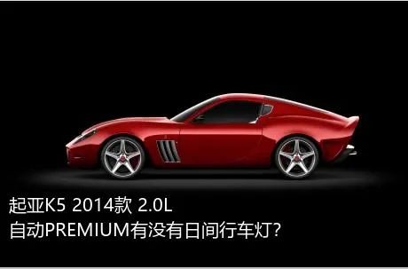 起亚K5 2014款 2.0L 自动PREMIUM有没有日间行车灯？