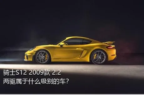 骑士S12 2009款 2.2 两驱属于什么级别的车？