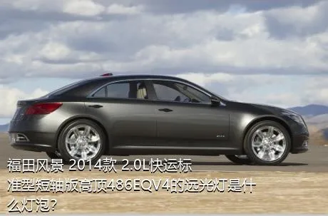 福田风景 2014款 2.0L快运标准型短轴版高顶486EQV4的远光灯是什么灯泡？