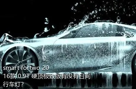 smart fortwo 2016款 0.9T 硬顶极致版有没有日间行车灯？