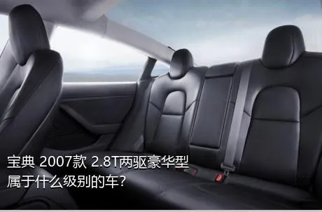 宝典 2007款 2.8T两驱豪华型属于什么级别的车？