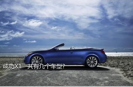 成功X1一共有几个车型？
