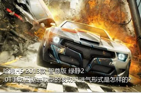 哈弗H5 2013款 智尊版 绿静2.0T手动四驱进取型的发动机进气形式是怎样的？
