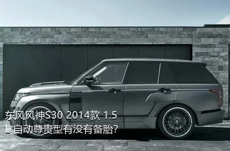 东风风神S30 2014款 1.5L 自动尊贵型有没有备胎？