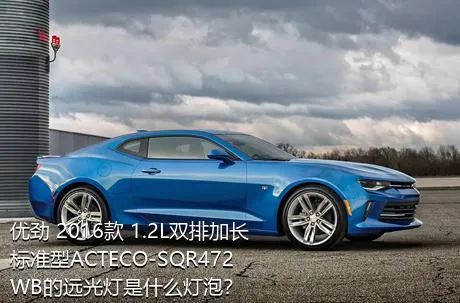 优劲 2016款 1.2L双排加长 标准型ACTECO-SQR472WB的远光灯是什么灯泡？