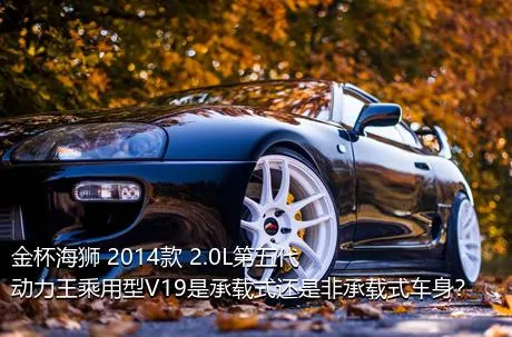 金杯海狮 2014款 2.0L第五代动力王乘用型V19是承载式还是非承载式车身？