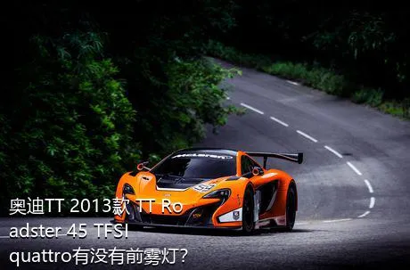 奥迪TT 2013款 TT Roadster 45 TFSI quattro有没有前雾灯？