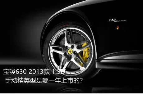 宝骏630 2013款 1.5L 手动精英型是哪一年上市的？