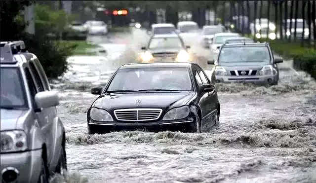 暴雨天过积水车牌丢了怎么办？砖叔教你快速搞定！