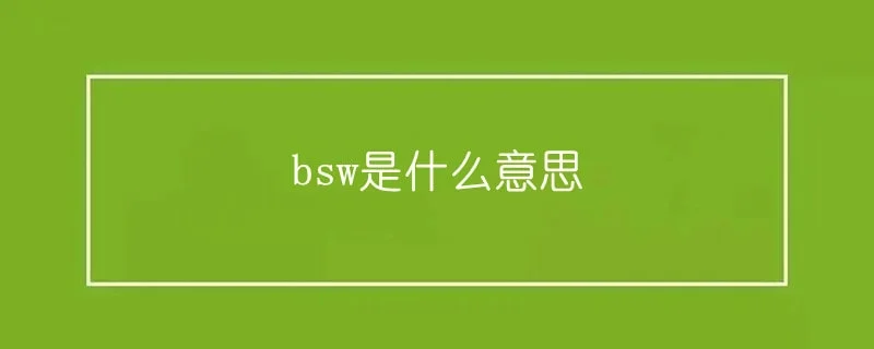 bsw是什么意思