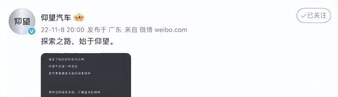 比亚迪旗下高端品牌正式公布？ 或命名为“仰望”