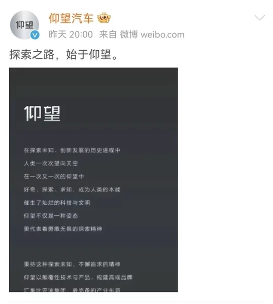 摘高端的果子 比亚迪“仰望”有多大希望？丨汽势观察