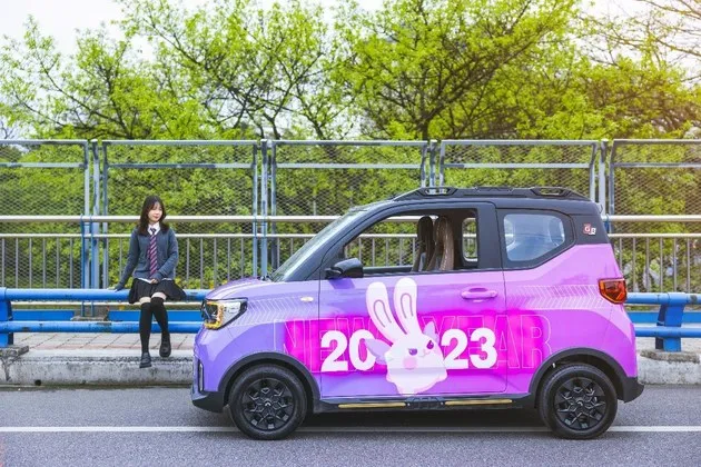 宏光MINIEV夺2022全球小型纯电销冠 2.98万起