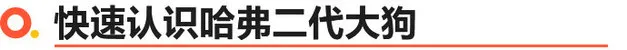 哈弗二代大狗正式上市 X款车型售XX.XX万起