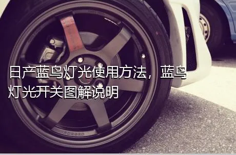 日产蓝鸟灯光使用方法，蓝鸟灯光开关图解说明