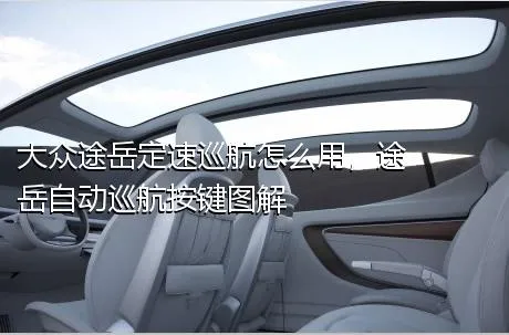大众途岳定速巡航怎么用，途岳自动巡航按键图解