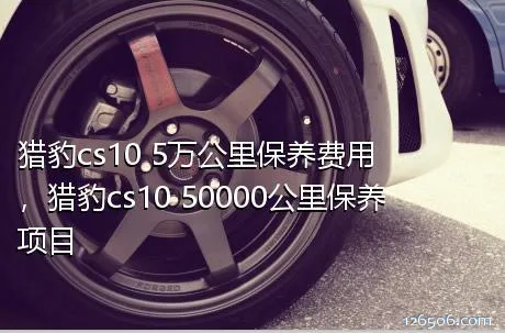 猎豹cs10 5万公里保养费用，猎豹cs10 50000公里保养项目
