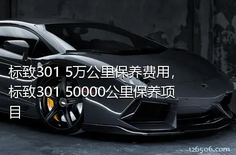 标致301 5万公里保养费用，标致301 50000公里保养项目