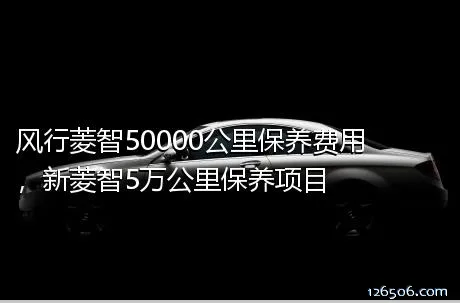 风行菱智50000公里保养费用，新菱智5万公里保养项目