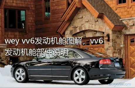 wey vv6发动机舱图解，vv6发动机舱部件说明