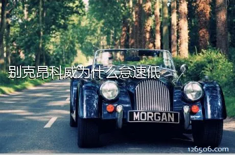 别克昂科威为什么怠速低