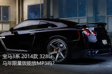 宝马3系 2014款 328Li 马年限量版能放MP3吗？
