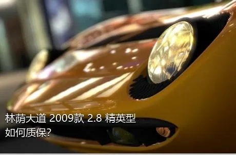 林荫大道 2009款 2.8 精英型如何质保？