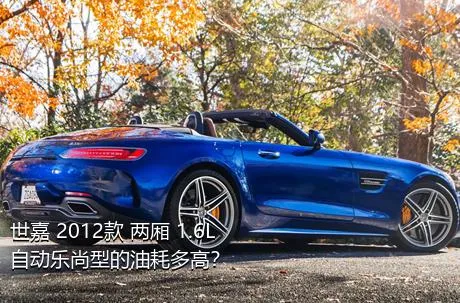 世嘉 2012款 两厢 1.6L 自动乐尚型的油耗多高？