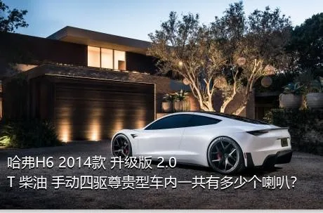 哈弗H6 2014款 升级版 2.0T 柴油 手动四驱尊贵型车内一共有多少个喇叭？