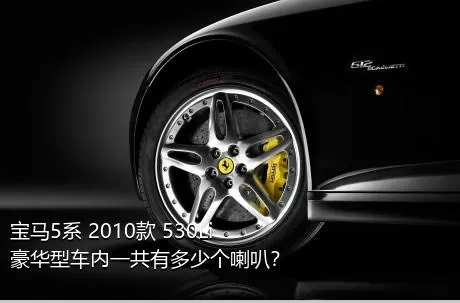 宝马5系 2010款 530Li 豪华型车内一共有多少个喇叭？