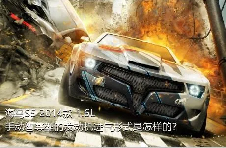 海马S5 2014款 1.6L 手动智尊型的发动机进气形式是怎样的？