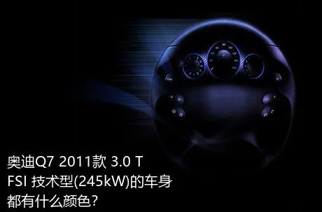 奥迪Q7 2011款 3.0 TFSI 技术型(245kW)的车身都有什么颜色？