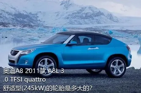奥迪A8 2011款 A8L 3.0 TFSI quattro舒适型(245kW)的轮胎是多大的？
