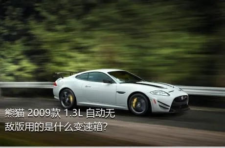 熊猫 2009款 1.3L 自动无敌版用的是什么变速箱？