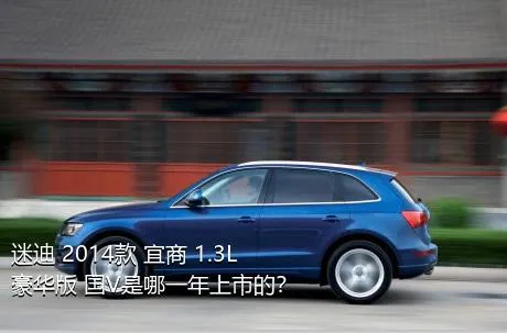 迷迪 2014款 宜商 1.3L 豪华版 国V是哪一年上市的？