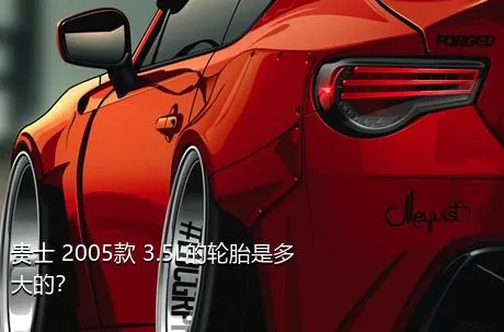 贵士 2005款 3.5L的轮胎是多大的？