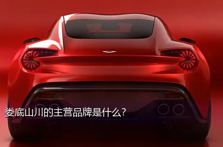娄底山川的主营品牌是什么？