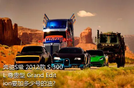 奔驰S级 2012款 S 300 L 尊贵型 Grand Edition要加多少号的油？