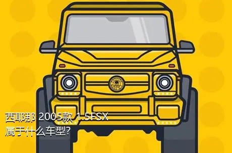 西耶那 2005款 1.5FSX属于什么车型？