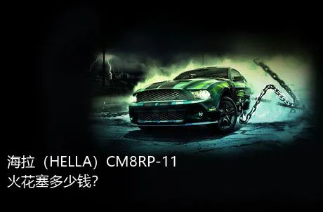 海拉（HELLA）CM8RP-11火花塞多少钱？