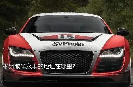 郴州鹏洋永丰的地址在哪里？
