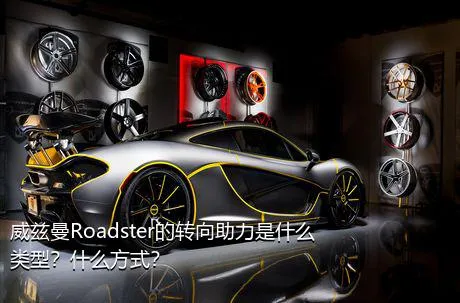 威兹曼Roadster的转向助力是什么类型？什么方式？