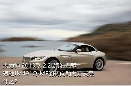 大力神 2013款 2.2L汽油四驱短轴JM491Q-ME的转向助力方式是什么？