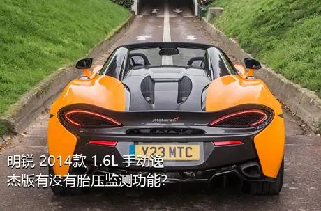 明锐 2014款 1.6L 手动逸杰版有没有胎压监测功能？