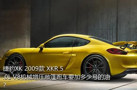 捷豹XK 2009款 XKR 5.0L V8机械增压敞篷跑车要加多少号的油？