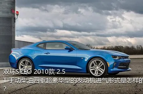 双环SCEO 2010款 2.5T 手动柴油四驱超豪华型的发动机进气形式是怎样的？