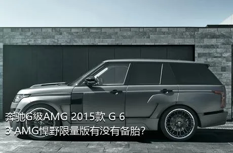 奔驰G级AMG 2015款 G 63 AMG悍野限量版有没有备胎？
