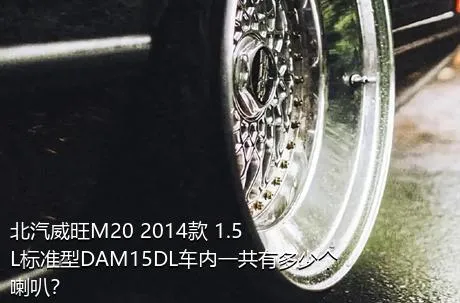 北汽威旺M20 2014款 1.5L标准型DAM15DL车内一共有多少个喇叭？