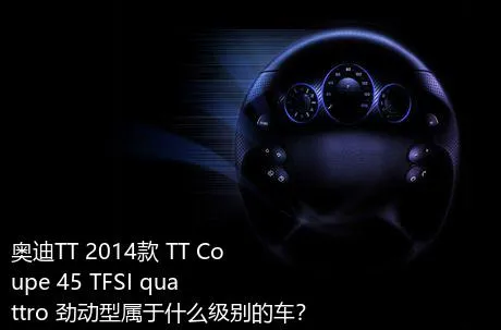 奥迪TT 2014款 TT Coupe 45 TFSI quattro 劲动型属于什么级别的车？